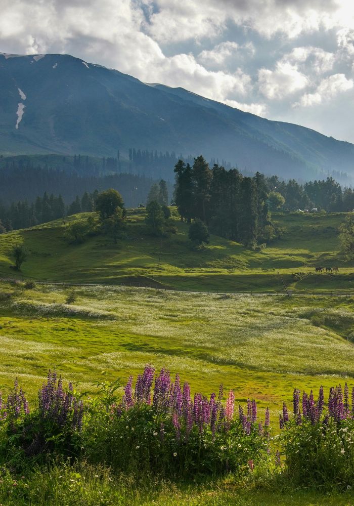 images/new-deal/Kashmir Tour Package 5 Nights 6 Days 3.jpg